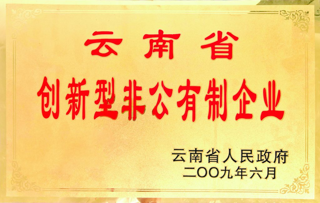 2009年云南省创新型非公有制企业