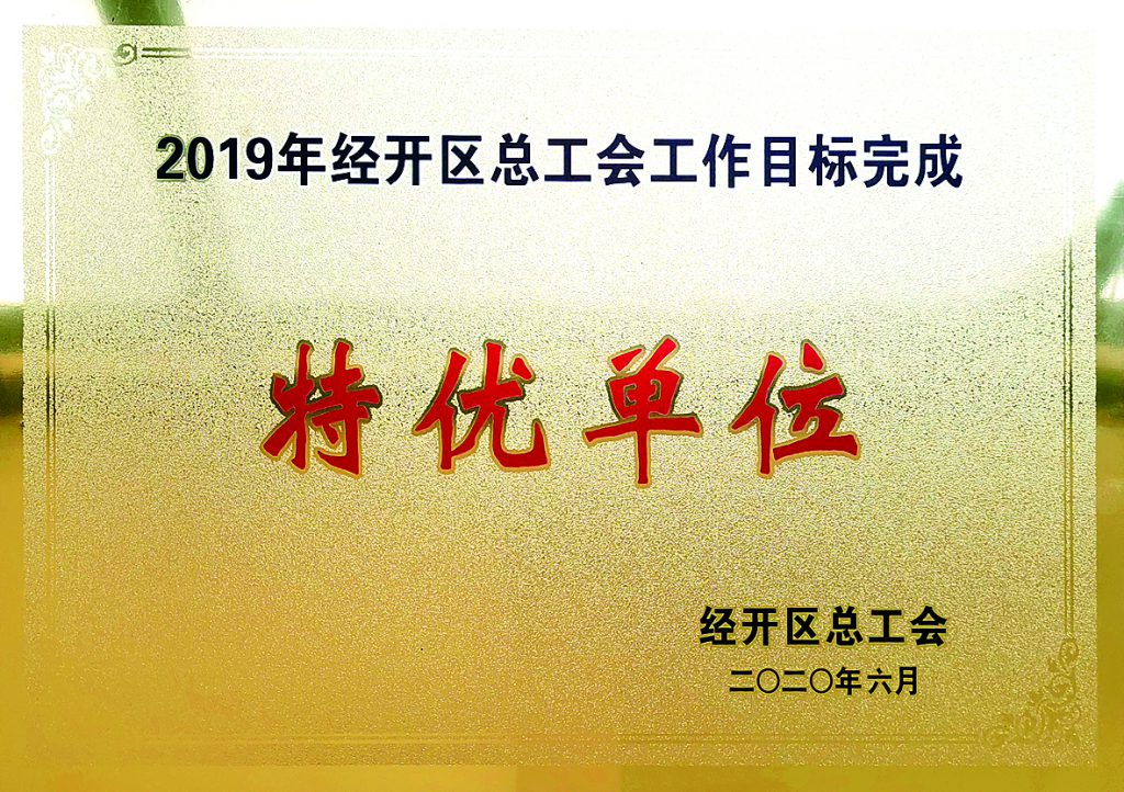 2019年度经开区总工会工作目标完成特优单位